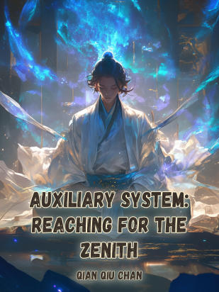 Auxiliary System: Reaching For The Zenith
